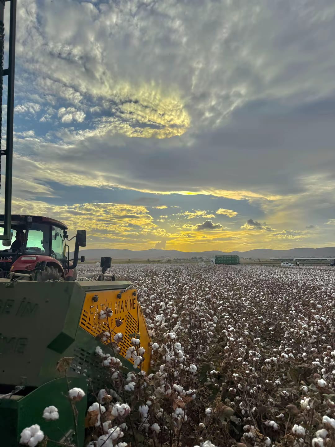 4 SIRA PAMUK TOPLAMA MAKİNESİ DEPOLU - Görsel 3